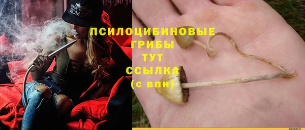 прущие крисы Арсеньев