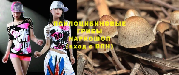 прущие крисы Арсеньев