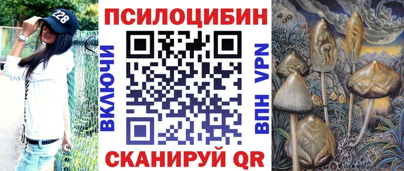 Галлюциногенные грибы мицелий  Купить  Черкесск 